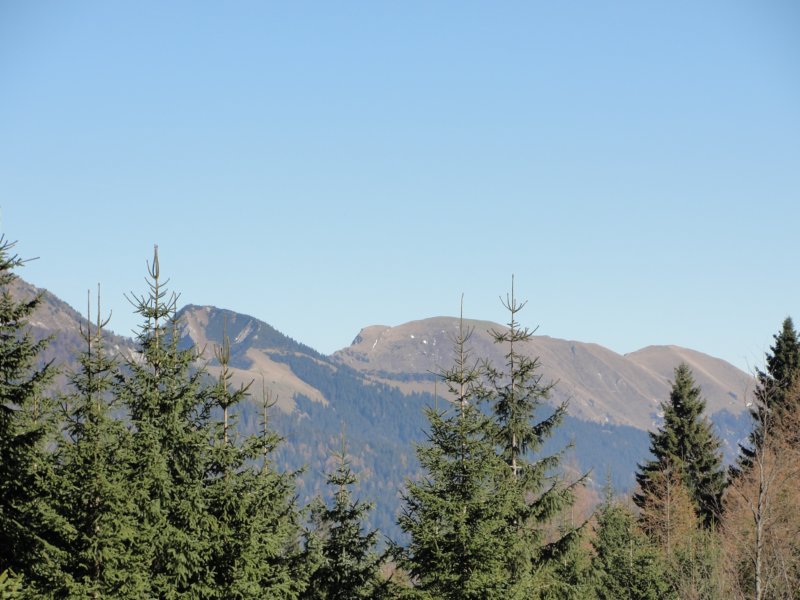 jerebikovec045.jpg