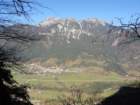 jerebikovec046_small.jpg