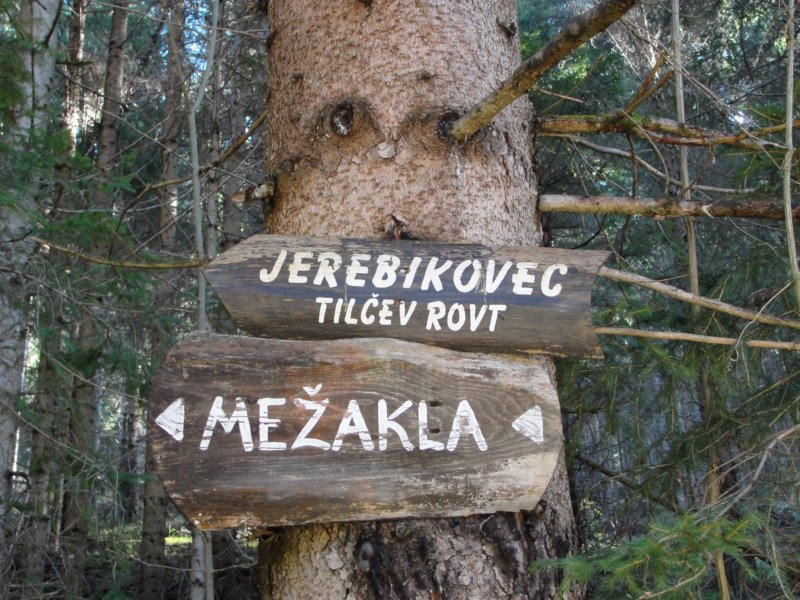 jerebikovec047.jpg