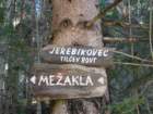 jerebikovec047_small.jpg
