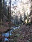 jerebikovec048_small.jpg