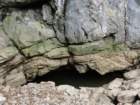 odsvanedosvane034_small.jpg