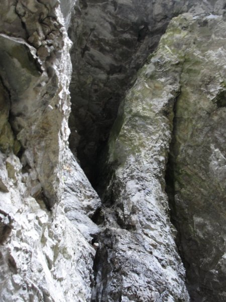 odsvanedosvane035.jpg