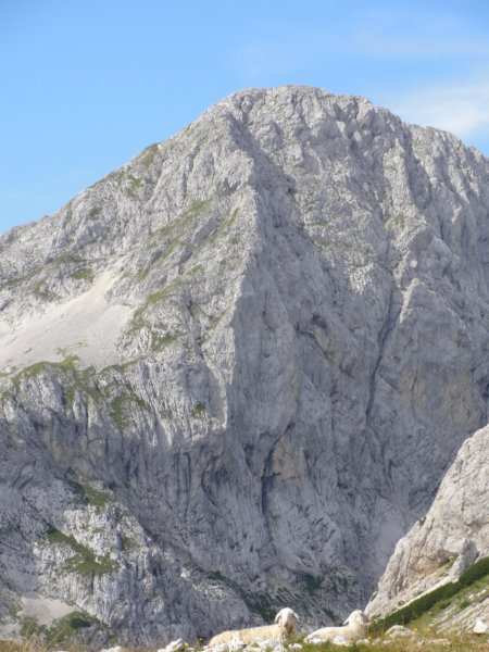 triglav028.jpg